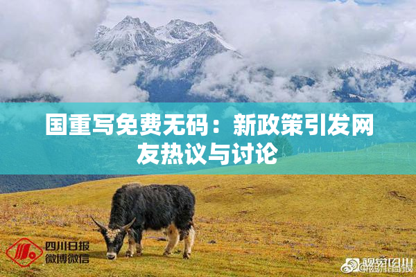 国重写免费无码：新政策引发网友热议与讨论