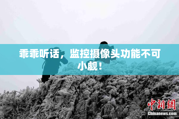 乖乖听话，监控摄像头功能不可小觑！