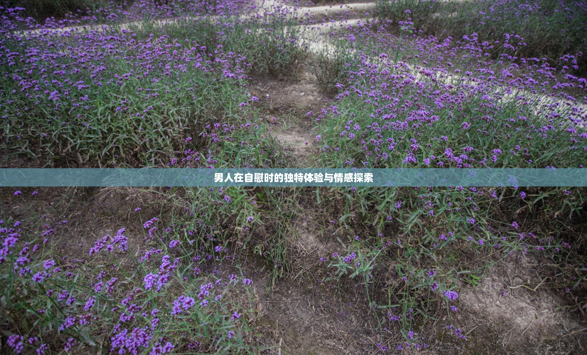 男人在自慰时的独特体验与情感探索
