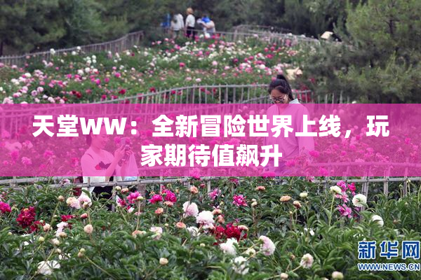 天堂WW：全新冒险世界上线，玩家期待值飙升