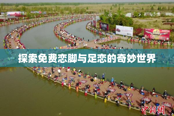 探索免费恋脚与足恋的奇妙世界