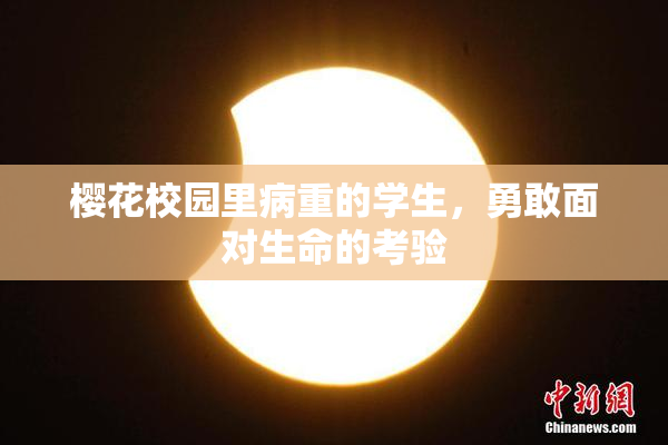 樱花校园里病重的学生，勇敢面对生命的考验
