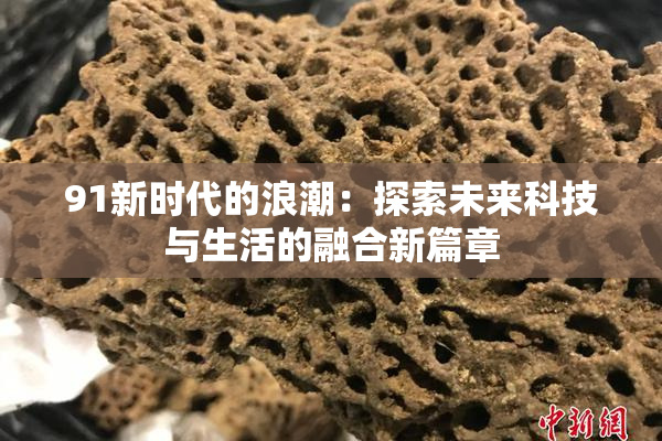 91新时代的浪潮：探索未来科技与生活的融合新篇章