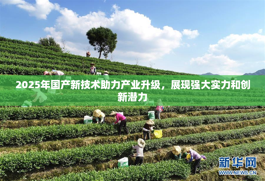 2025年国产新技术助力产业升级，展现强大实力和创新潜力