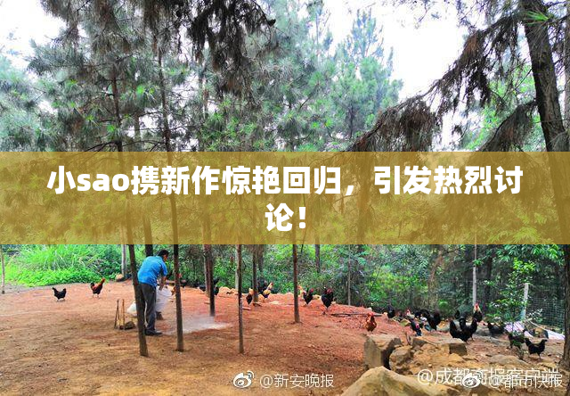 小sao携新作惊艳回归，引发热烈讨论！