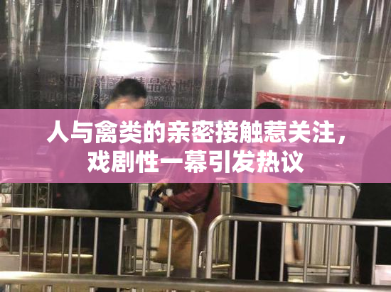 人与禽类的亲密接触惹关注，戏剧性一幕引发热议
