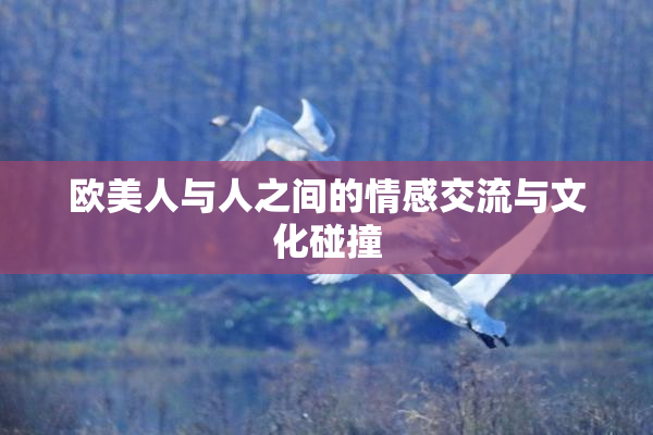 欧美人与人之间的情感交流与文化碰撞