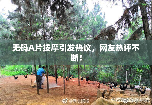 无码A片按摩引发热议，网友热评不断！