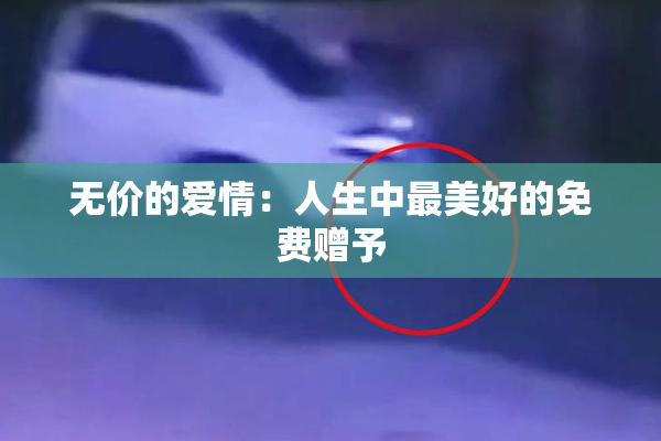 无价的爱情：人生中最美好的免费赠予