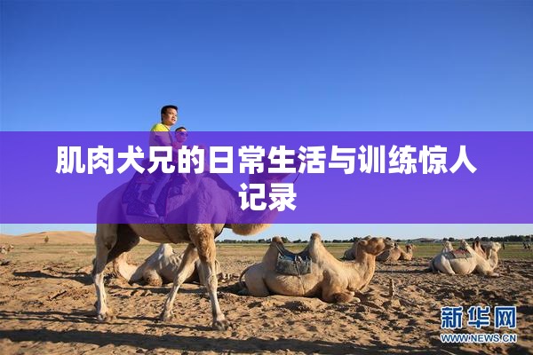 肌肉犬兄的日常生活与训练惊人记录