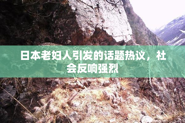 日本老妇人引发的话题热议，社会反响强烈