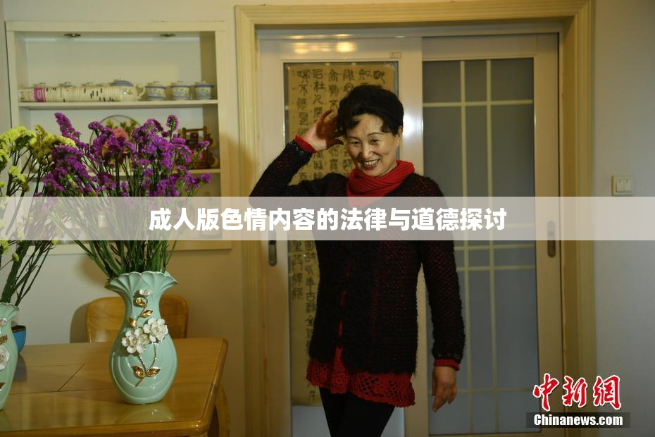 成人版色情内容的法律与道德探讨