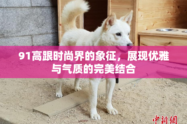 91高跟时尚界的象征，展现优雅与气质的完美结合