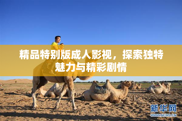 精品特别版成人影视，探索独特魅力与精彩剧情