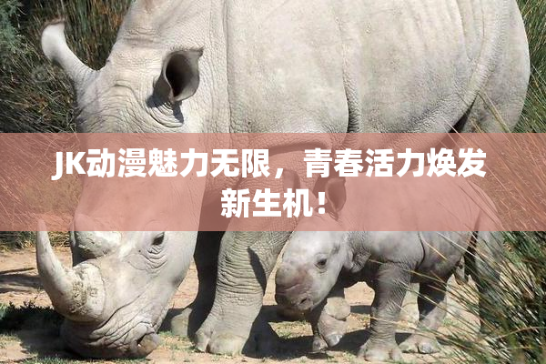 JK动漫魅力无限，青春活力焕发新生机！