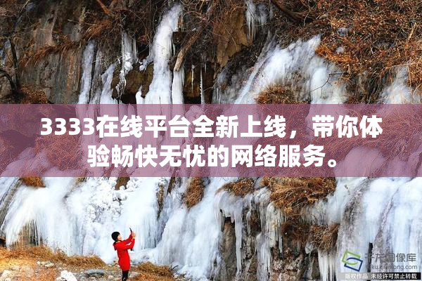 3333在线平台全新上线，带你体验畅快无忧的网络服务。