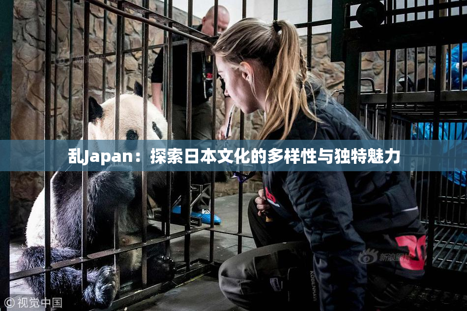 乱Japan：探索日本文化的多样性与独特魅力