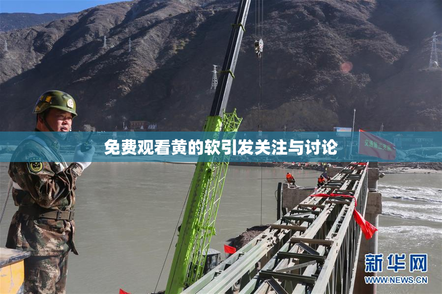 免费观看黄的软引发关注与讨论