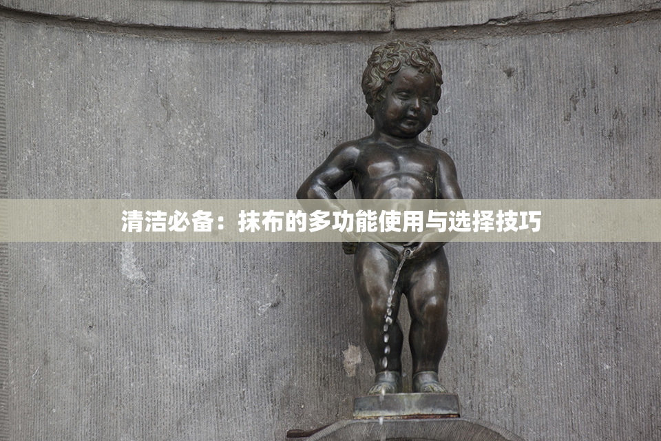 清洁必备：抹布的多功能使用与选择技巧