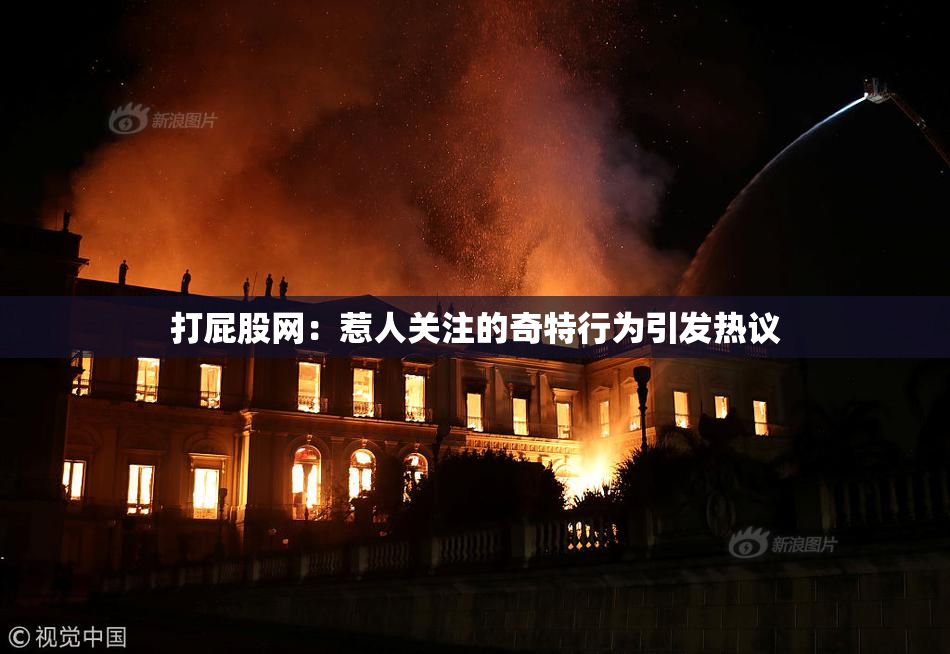 打屁股网：惹人关注的奇特行为引发热议