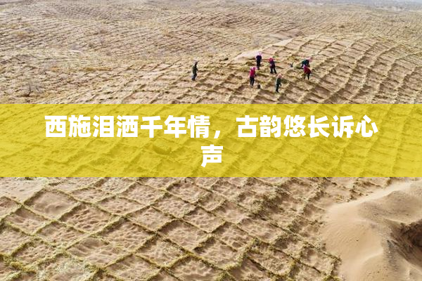 西施泪洒千年情，古韵悠长诉心声