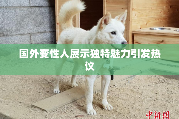 国外变性人展示独特魅力引发热议