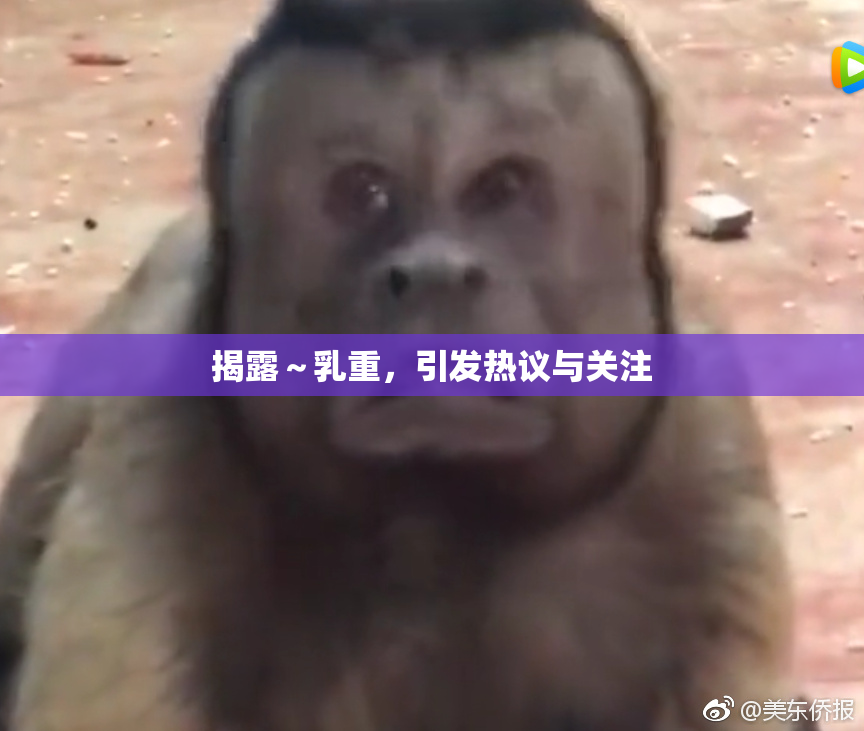 揭露～乳重，引发热议与关注