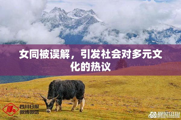 女同被误解，引发社会对多元文化的热议