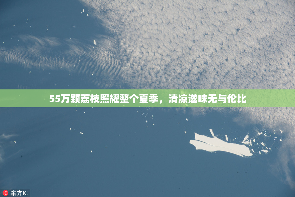 55万颗荔枝照耀整个夏季，清凉滋味无与伦比