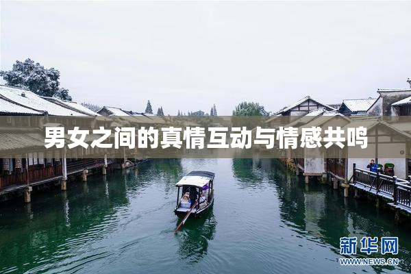 男女之间的真情互动与情感共鸣