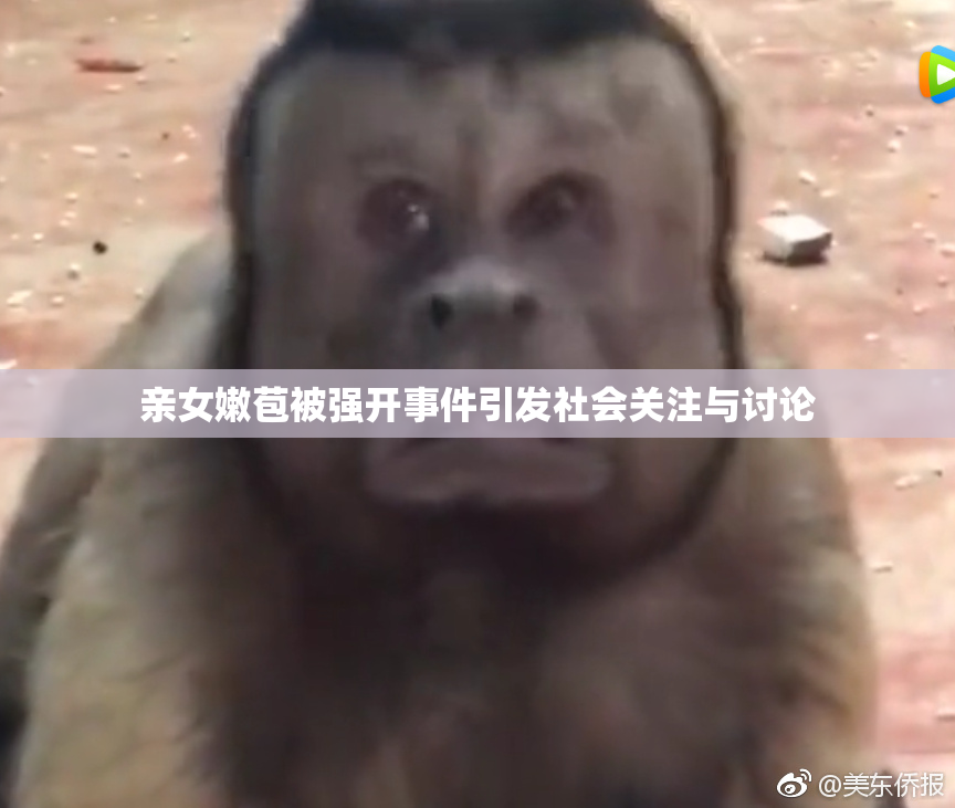 亲女嫩苞被强开事件引发社会关注与讨论