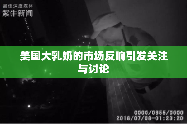 美国大乳奶的市场反响引发关注与讨论