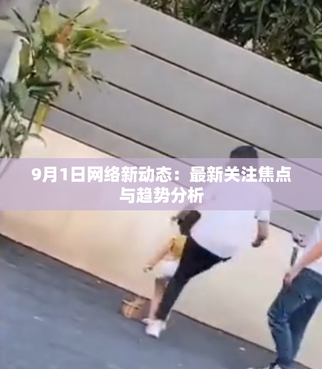 9月1日网络新动态：最新关注焦点与趋势分析
