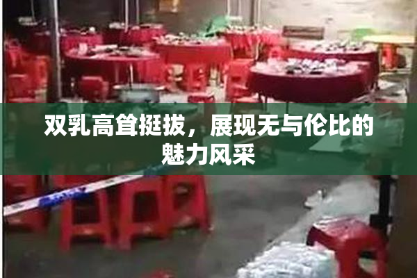 双乳高耸挺拔，展现无与伦比的魅力风采