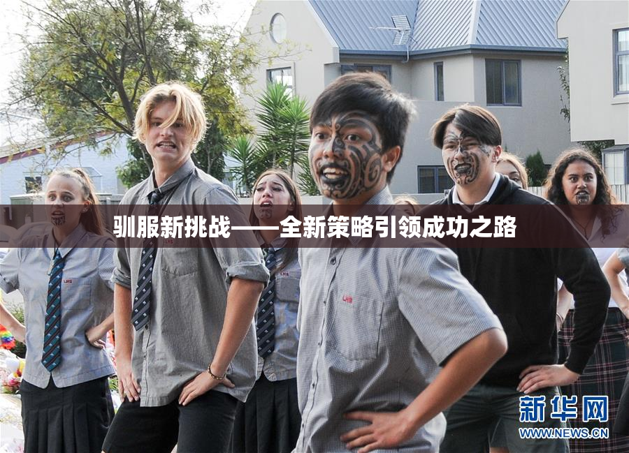 驯服新挑战——全新策略引领成功之路
