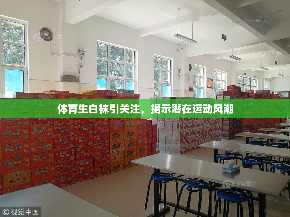 体育生白袜引关注，揭示潜在运动风潮