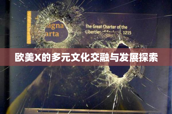 欧美X的多元文化交融与发展探索