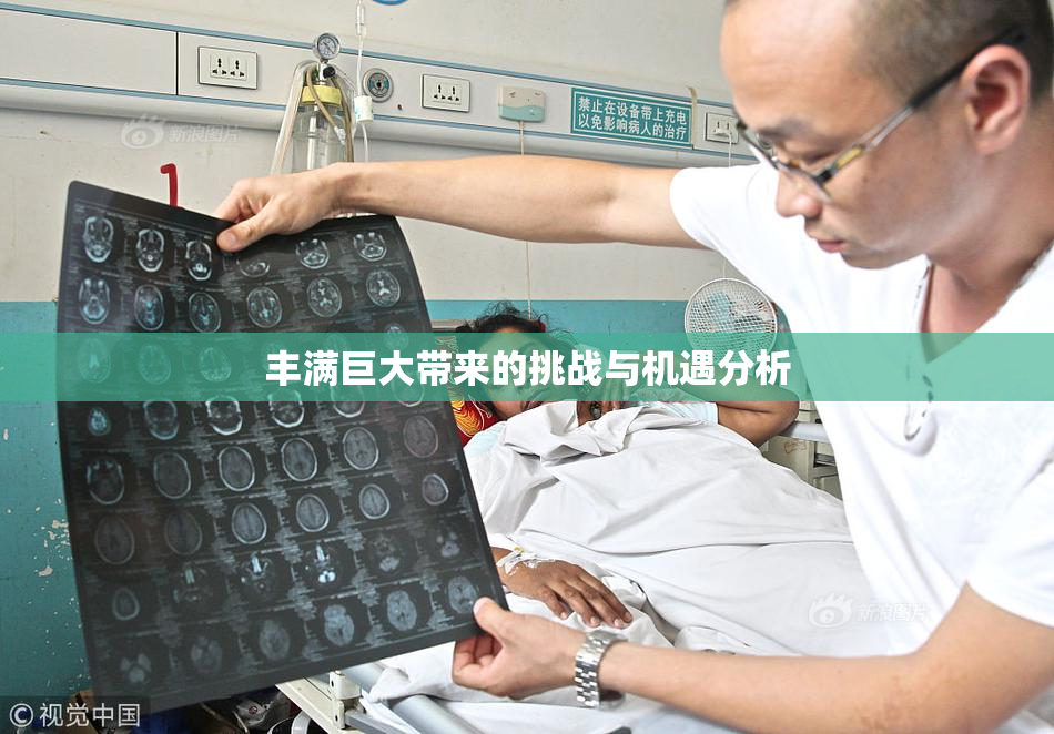 丰满巨大带来的挑战与机遇分析