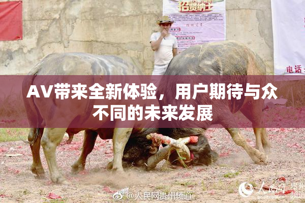 AV带来全新体验，用户期待与众不同的未来发展