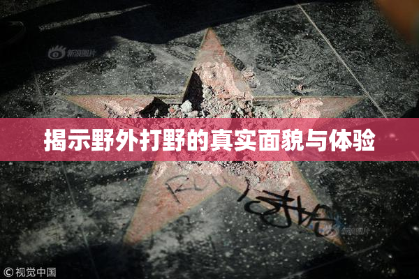 揭示野外打野的真实面貌与体验