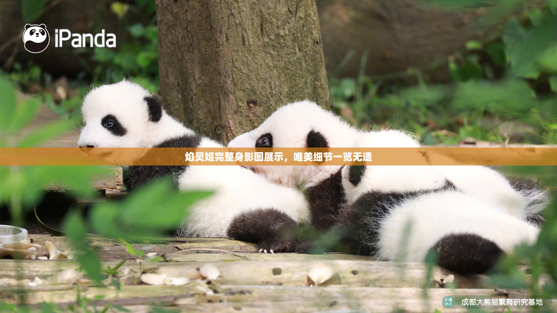 焰灵姬完整身影图展示，唯美细节一览无遗