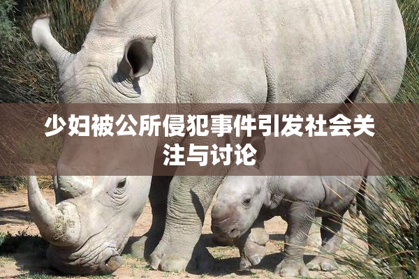 少妇被公所侵犯事件引发社会关注与讨论