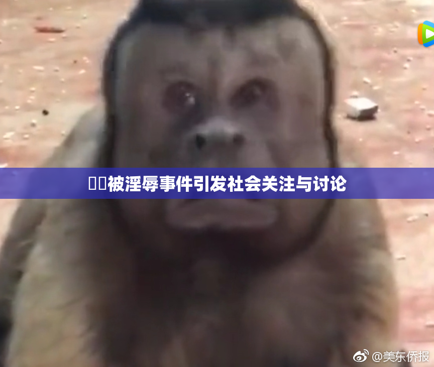 妺妺被淫辱事件引发社会关注与讨论