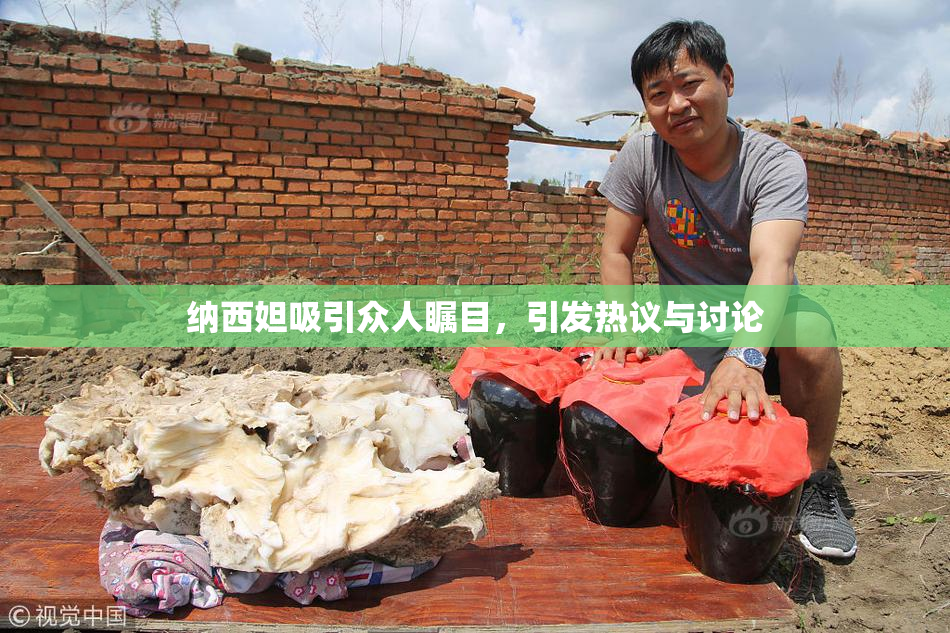 纳西妲吸引众人瞩目，引发热议与讨论