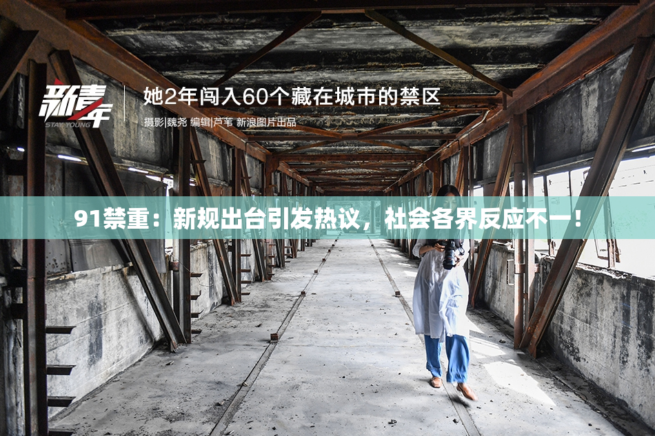 91禁重：新规出台引发热议，社会各界反应不一！