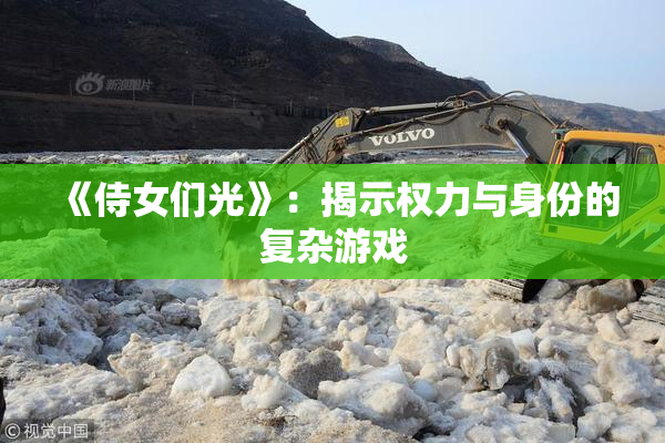 《侍女们光》：揭示权力与身份的复杂游戏