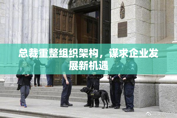 总裁重整组织架构，谋求企业发展新机遇