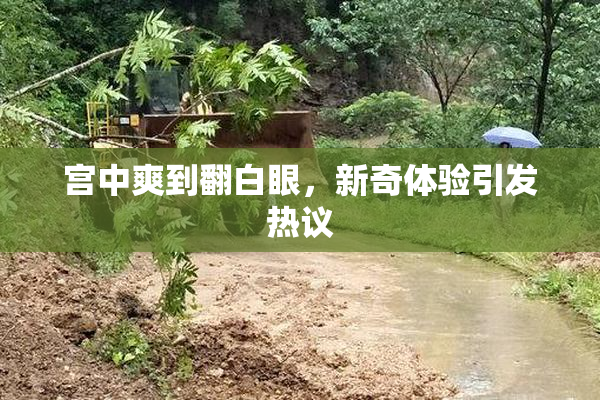 宫中爽到翻白眼，新奇体验引发热议