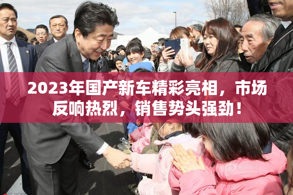 2023年国产新车精彩亮相，市场反响热烈，销售势头强劲！