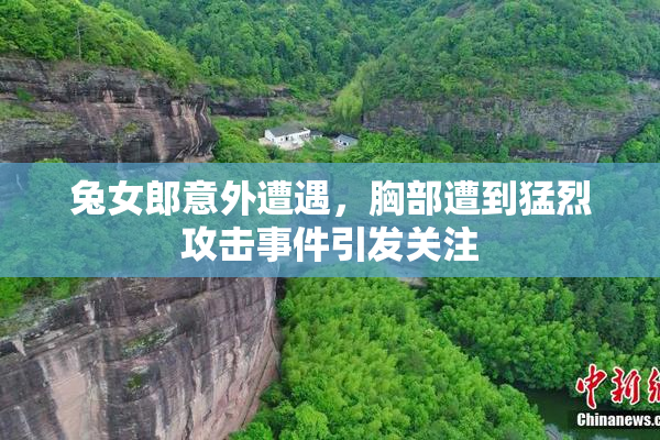 兔女郎意外遭遇，胸部遭到猛烈攻击事件引发关注